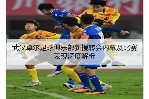 武汉卓尔足球俱乐部新援转会内幕及比赛表现深度解析